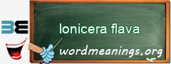 WordMeaning blackboard for lonicera flava